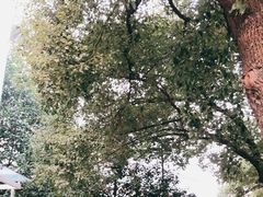 -杭州市第一人民医院(湖滨院区)