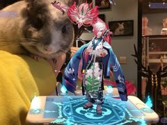 -藦茜花园宠物主题亲子互动体验馆(国顺东路店)