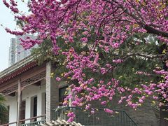 -万寿八仙宫
