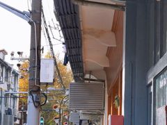 -茶是一枝花泡茶店