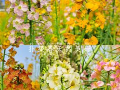 -中国天府农业博览园