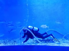 -波塞冬海底世界