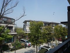 -田园东方蜜桃村的田野营地