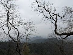 -灵顺寺