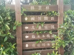 -金山公园