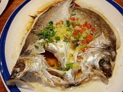 清蒸鲈鱼-丰圆轩粤式茶楼 . 点心粤菜(夏茅店)
