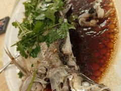 蒸和顺鱼-荣兴河鲜楼