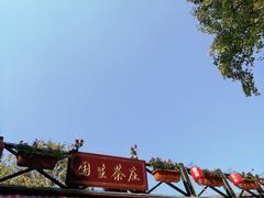 -国生茶庄·地道农家菜团建活动