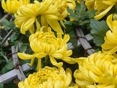 -上海大学（宝山校区）-图书馆