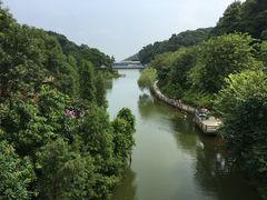 -广州市帽峰山景区