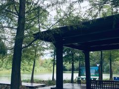 -梁鸿国家湿地公园