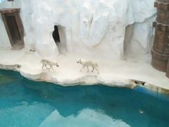 -秦皇岛乐岛海洋王国