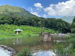 -广州市石门国家森林公园