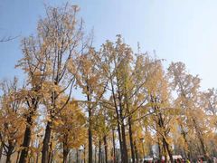 -两江幸福广场