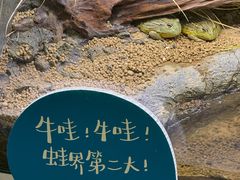 -中国湿地博物馆