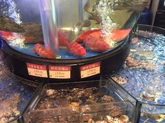 -陶陶居海鲜酒家(新马路店)