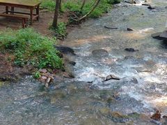 -汤旺河林海奇石景区