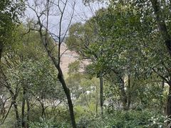 -上海佘山国家森林公园天马山园