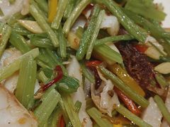 -新光酒家·河豚·海鲜·蟹料理(浦东店)