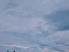 -阿尔法海鲜排档(爱琴海店)