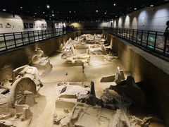 -洛阳周王城天子驾六博物馆