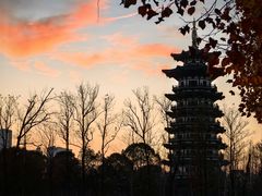 -洋湖国家湿地公园