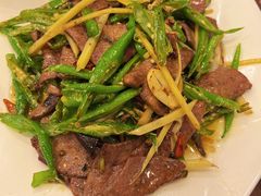 -糊涂兔毛毛菜(八里庄店)