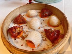 菜苗海胆饺-三号黄浦会Canton Table