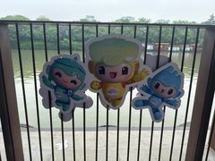 -运河游船(武林门码头)