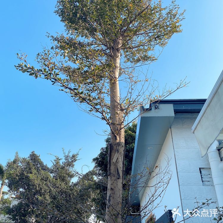 [吐]两间summer店都探过啦[吐][糖果]