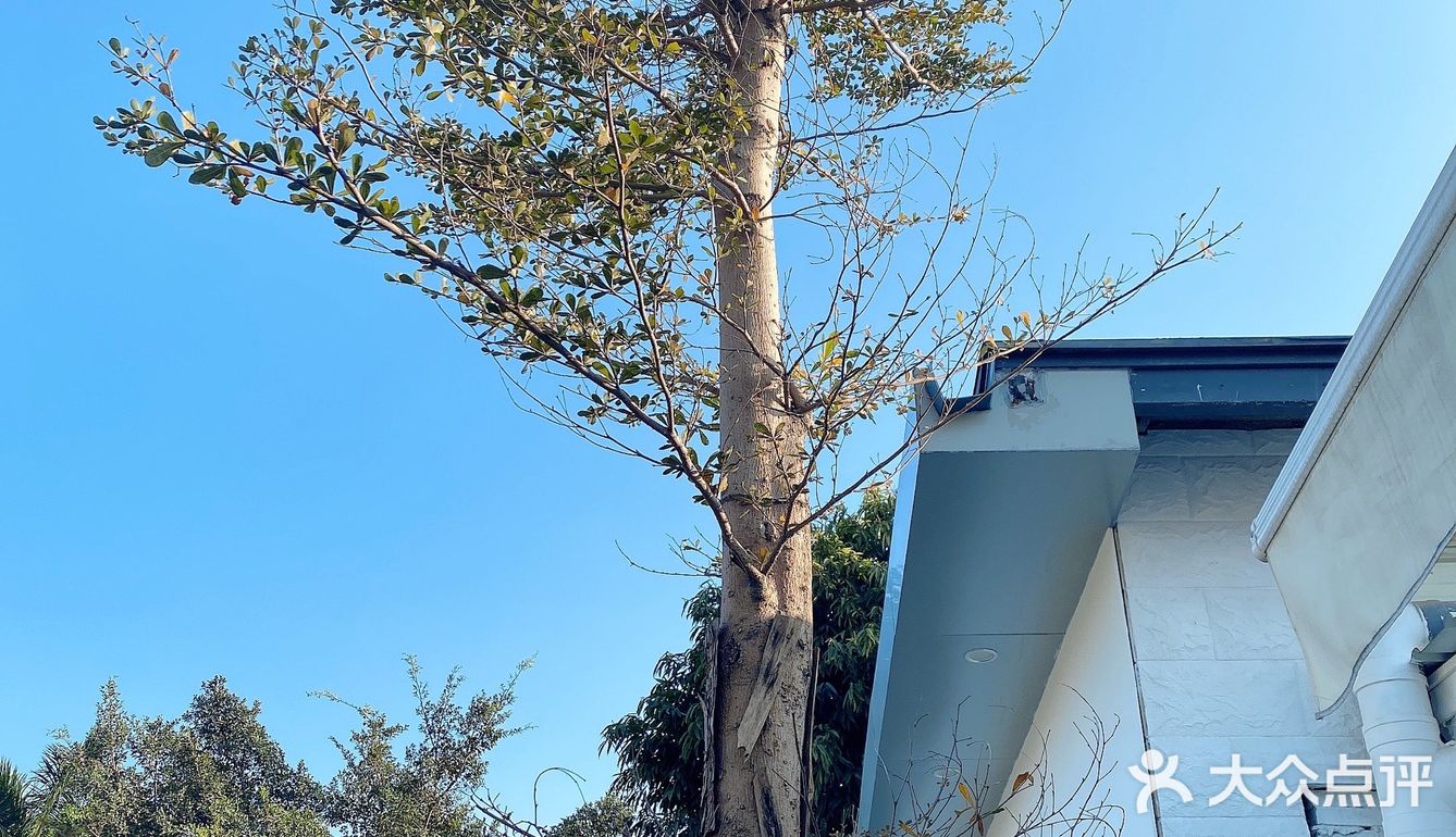 [吐]两间summer店都探过啦[吐][糖果]