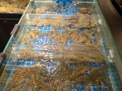 -闽海肴(北辰荟店)