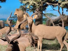 -国家自然博物馆