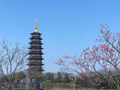 -咸阳湖景区-古渡公园