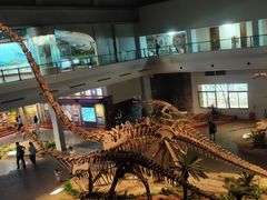 马门溪龙-自贡恐龙博物馆