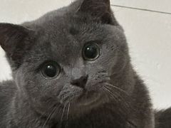 -暖阳宠物医院·犬猫康复中心·骨科