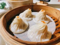 -点都德·毕德寮