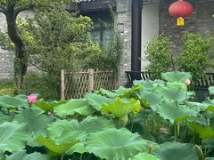 -铁炉咖啡(河下古镇店)