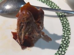 -三强鸽子(中原路店)