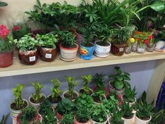 iphone_upload_pic-大润发(浒关店)