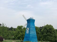 -铁山坪森林公园