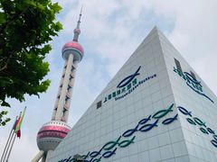 -上海海洋水族馆