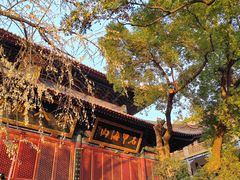 -宝通禅寺
