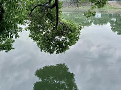 -蒋氏故居