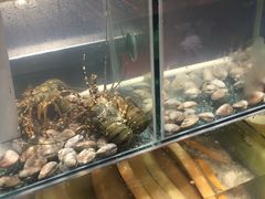 -大鲜生·亚洲菜融合小食堂