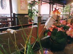 景观位-寻宝记绍兴菜(鲁迅路店)