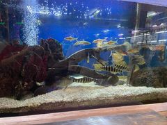 -無招牌海鮮(芽笼店)