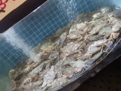 -福禧荟·海鲜自助