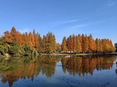 -尚湖风景区