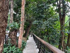 -深圳仙湖植物园